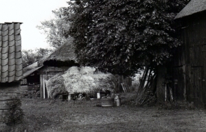 F10 Schuur achter boerderij Baank in Linde, 1965